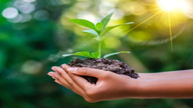 Mentoring Green Enterprises – Growing Green Businesses